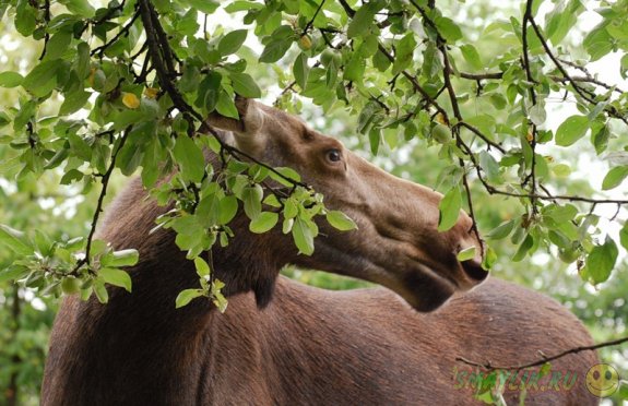 � ��������� ���������� ���� �� ������� ������� � ���