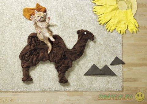 ������������ ����������� �������� ��������