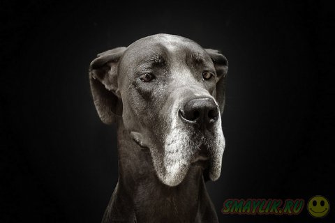 �������� ����� �� ������ ��������� 