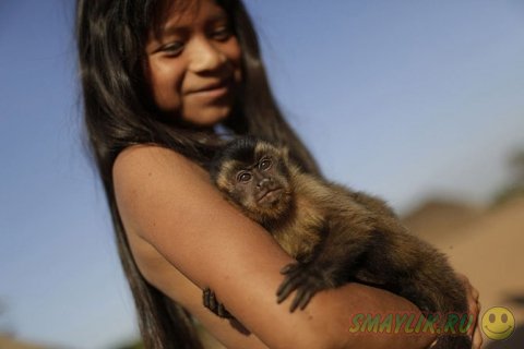 �� ������ ������� �������� ��������