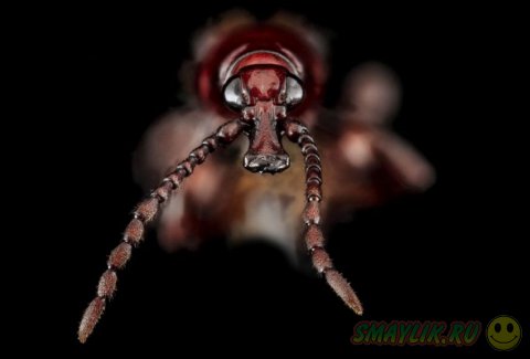 ������ ��������� ������ ������� ������