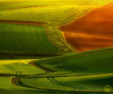 ������� �������