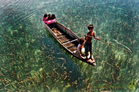 ���������� ������  �� ���  