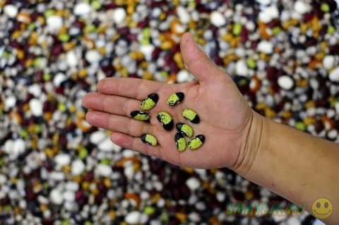 �������� ��������� ����� � ��������