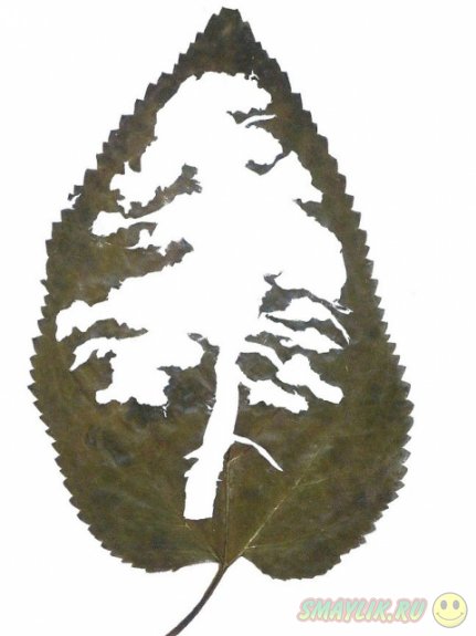 �������� ������ �� ������� � ������� ������� ������ 