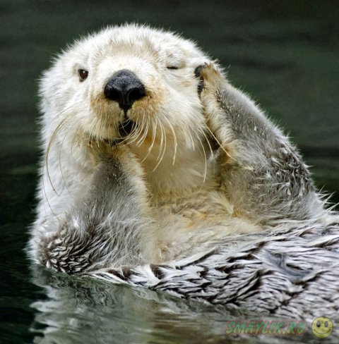 ����������� ����� �� ����������� ������