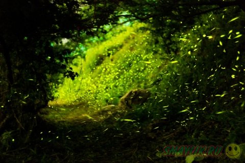 ��������� � ������ ����