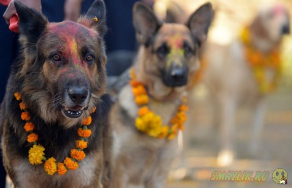 �  �������� ������������� ����������� ����������� ������� ����� ����������� ������ 