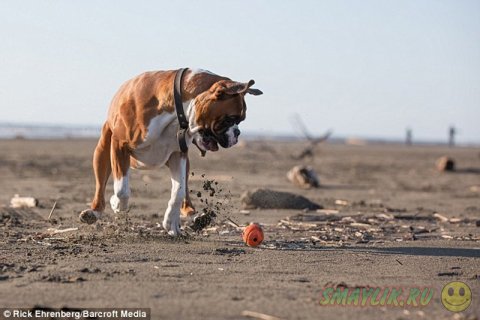 ����� � ��� ������� ��������� �����