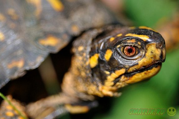 � �������� ������������ ������ ��������� ������ ��� ��������