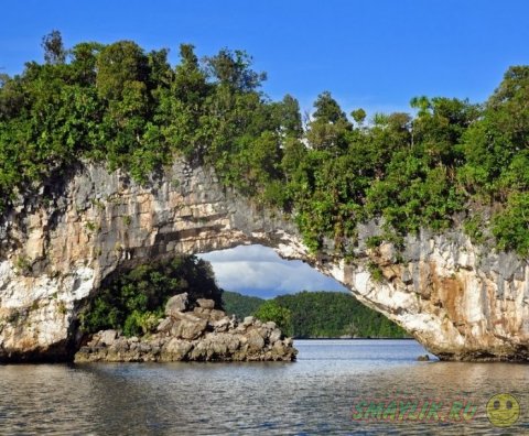 ���������� ������� ���������� ����� 