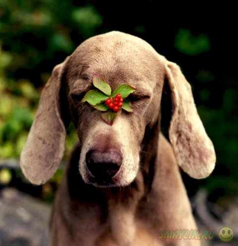 ���������� ���������� ����� �� ������� ������� 