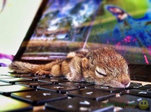 ������� � ��������� �� ����� ���