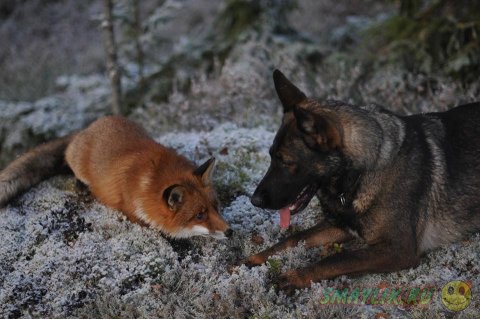 ��� ������ � ����� ��� ���  