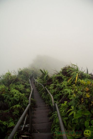 ��������, �������� � ����