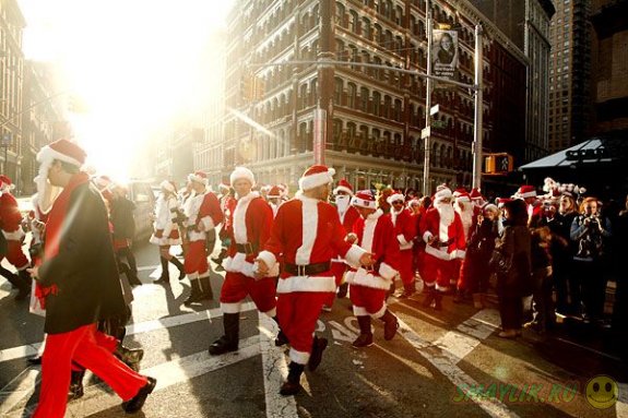 � ���-����� ������ ��������� "��������" 