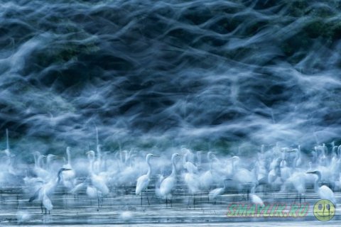 ���������� ���������� National Geographic Photo Contest 2013
