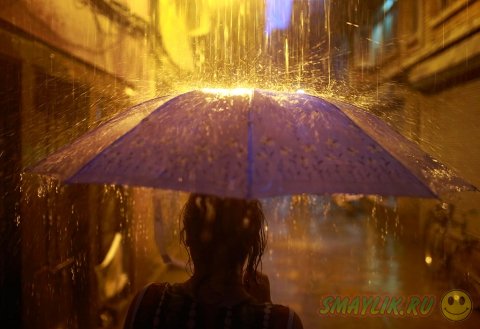 �������� ����� �������� ����������  ���������� ����