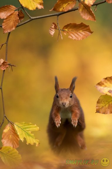 ����� � ��� �� ������ ���� 