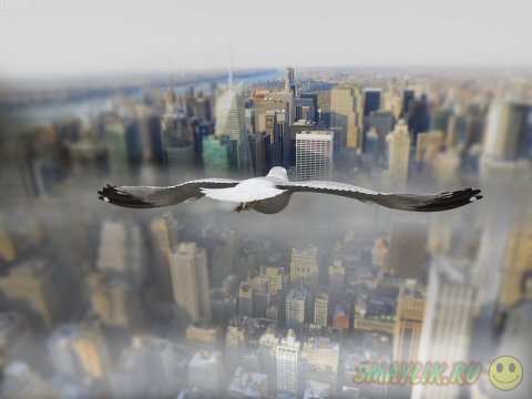 �����, ������� ������ � ���� 