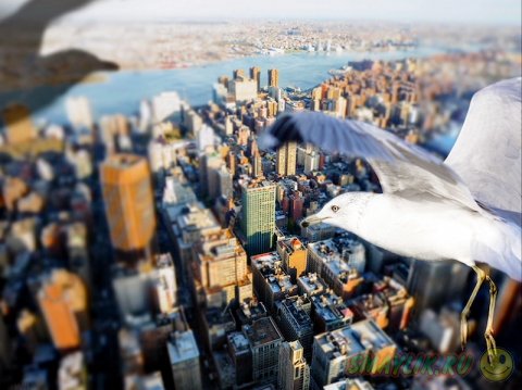 �����, ������� ������ � ���� 