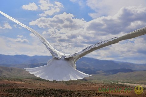 �����, ������� ������ � ���� 