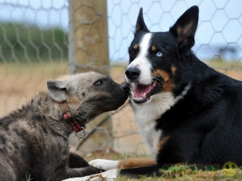  ����� �������� ������� ����� ���������