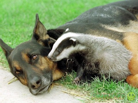  ����� �������� ������� ����� ���������