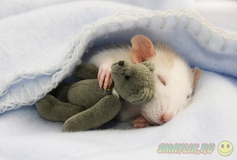 �������� ������ � ��������� �������