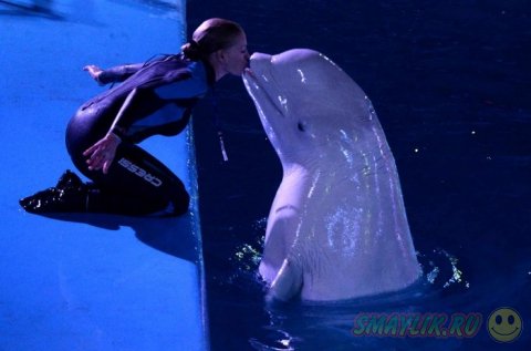 ������� �  �������� ���������� ��������