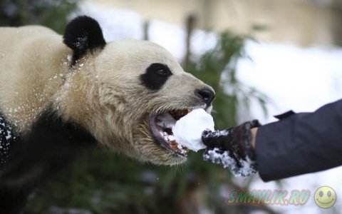 ������� �  �������� ���������� ��������