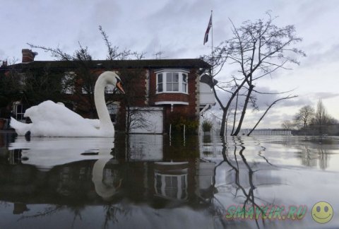 ������� �  �������� ���������� ��������