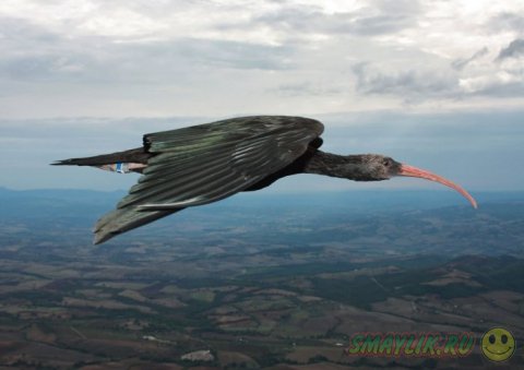 ������� �  �������� ���������� ��������