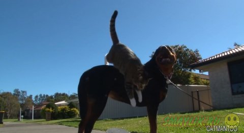 �������� �� ���������� ����� � �����