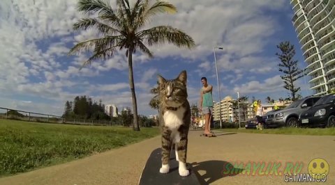 �������� �� ���������� ����� � �����