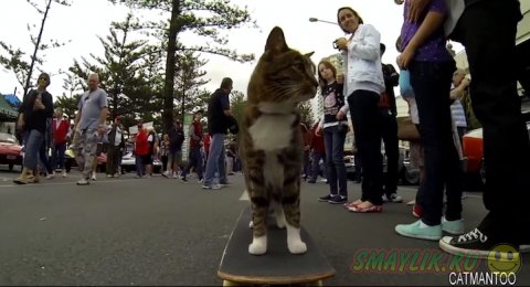 �������� �� ���������� ����� � �����