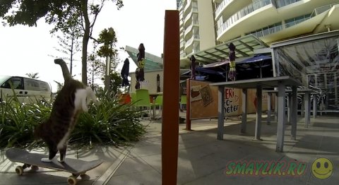 �������� �� ���������� ����� � �����