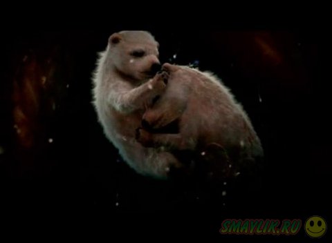 �������� �������� �� ��������