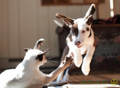 ����� � ������ - ��� ������������������ ������� 