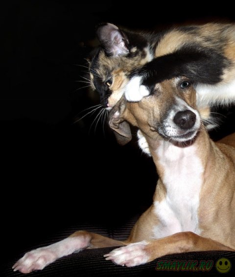 ����� � ������ - ��� ������������������ ������� 