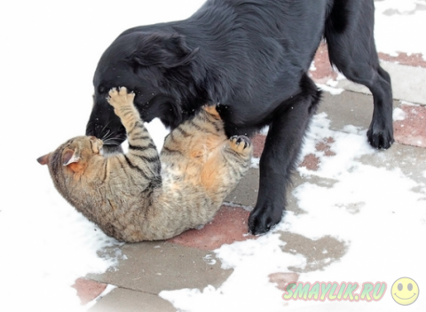 ����� � ������ - ��� ������������������ ������� 