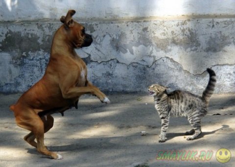 ����� � ������ - ��� ������������������ ������� 