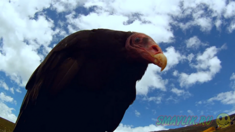 ����������� ������ � ����� ������� ���������