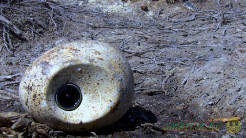 ����������� ������ � ����� ������� ���������