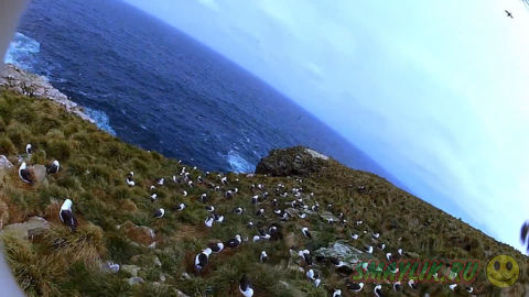 ����������� ������ � ����� ������� ���������