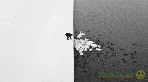 ����, �������� �������� � ������� ������