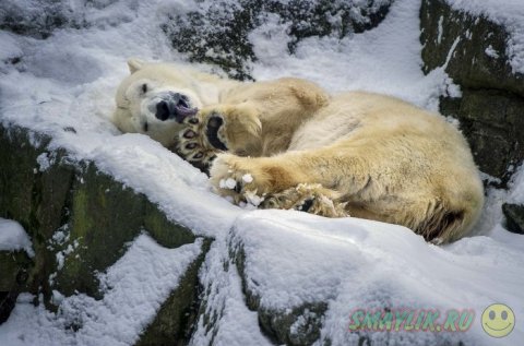 ���������� ���������� �� ���� ������� ����� �������