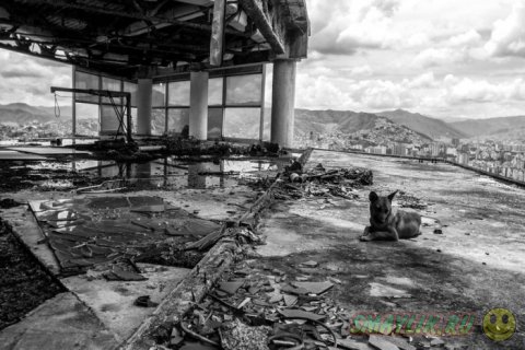 ����� ���������� ���������� �������� �Sony World Photography Awards 2014�