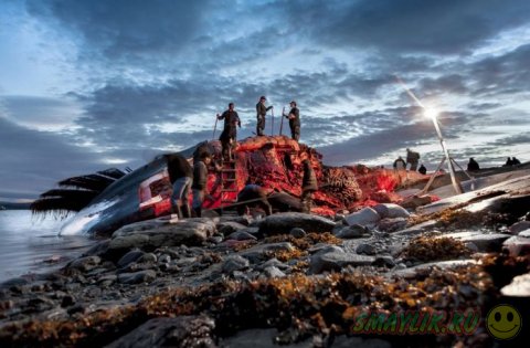 ����� ���������� ���������� �������� �Sony World Photography Awards 2014�