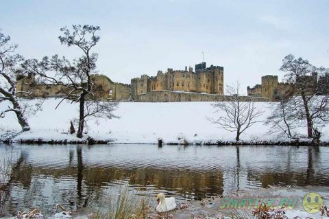 ��������� ����� �����